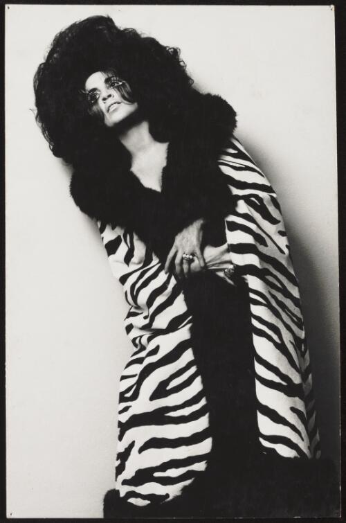 Fashion model wearing a tiger print coat with fur collar, approximately 1968 / Athol Shmith