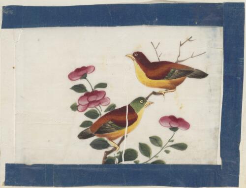 [Hua niao hua = Pith painting of flowers and birds]