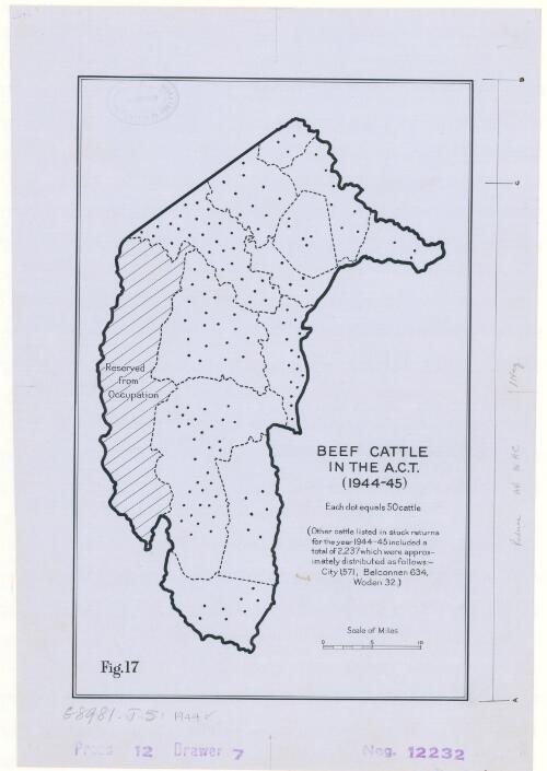 Beef cattle in the A.C.T. (1944-45) [cartographic material]