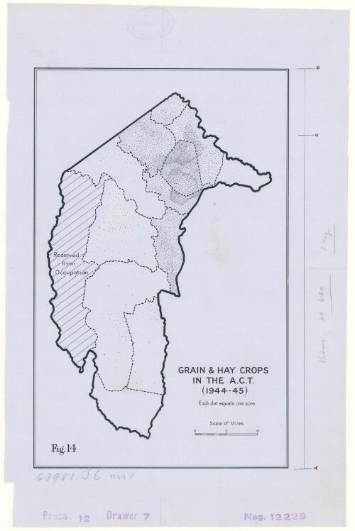 Grains & hay crops in the A.C.T. (1944-45) [cartographic material]