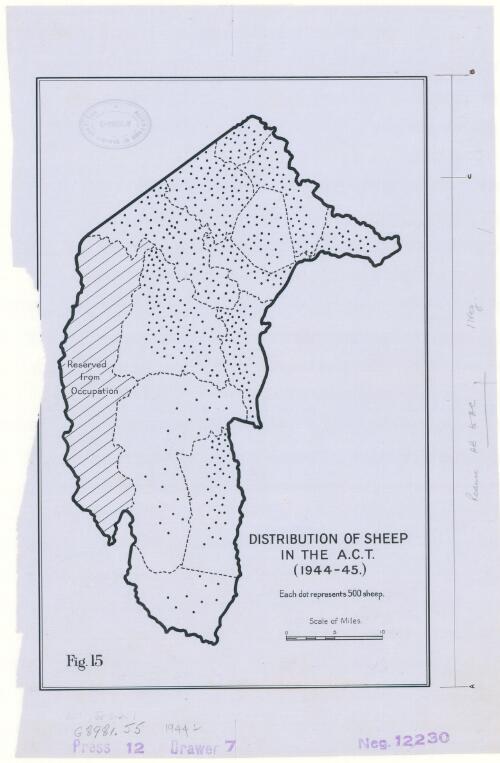 Distribution of sheep in the A.C.T. (1944-1945) [cartographic material]