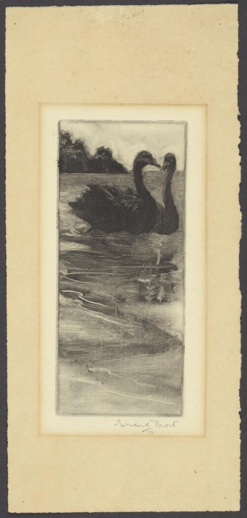 Black swans / Eirene Mort