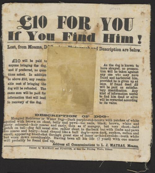 Reward notice for a lost dog [between 1885 and 1891] [manuscript]