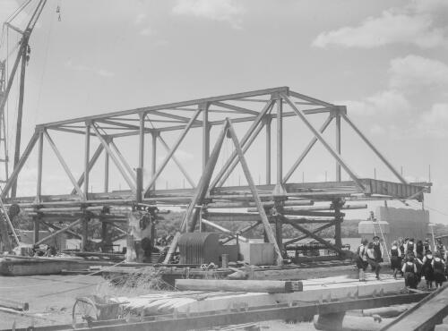 The first steel truss of Hexham Bridge in position, Hexham, New South Wales, 23 November 1949, 1