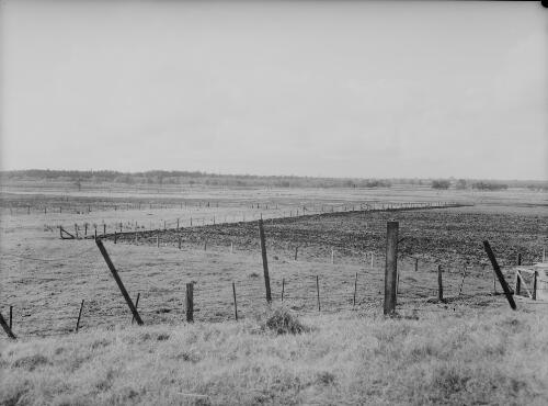 View of aerodrome site, Newcastle, New South Wales, 22 April 1951, 2