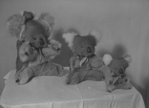 Three plush toy koalas on display, Sydney?, 1956