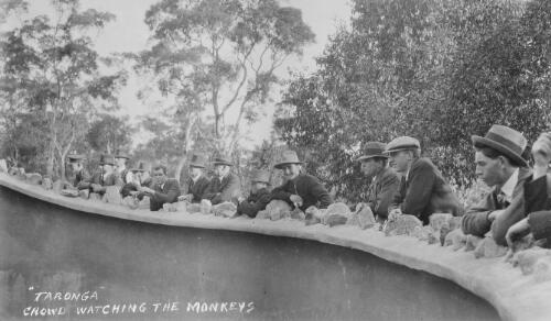 Crowds observing the monkeys at Taronga Zoo, Sydney, 1917