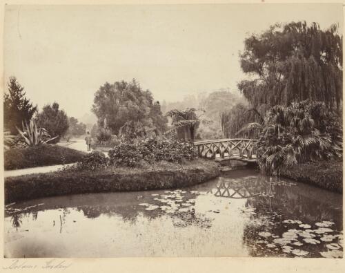 Royal Botanic Gardens, Sydney, 1879 / James N. Vickers