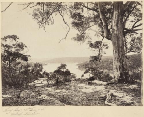 View of Long Bay, St. Leonards and Middle Harbour, Sydney, New South Wales, 1879 / James N. Vickers