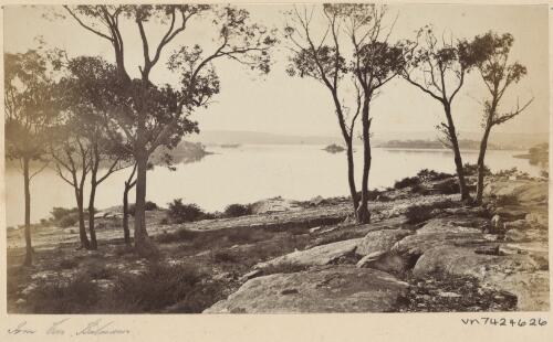Farm Cove, Sydney Harbour, New South Wales, 1879 / James N. Vickers