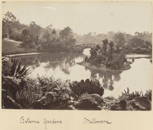 Royal Botanic Gardens, Melbourne, Victoria, 1879 / James N. Vickers