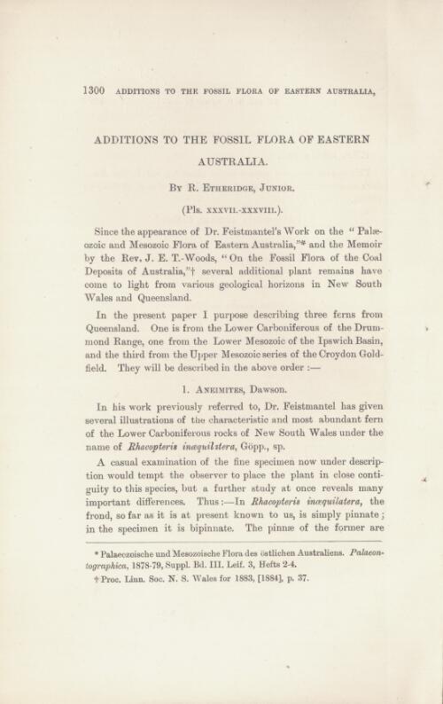 Additions to the fossil flora of Eastern Australia / by R. Etheridge