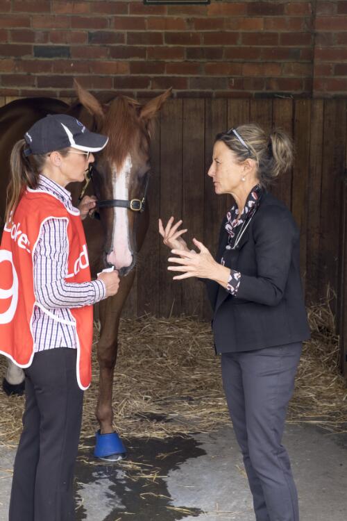 Race day vet Jennette O'Rielly, discussing an eye discharge a horse exhibited after a race, Caulfield Racecourse, Melbourne, 2017 / Ruth Maddison