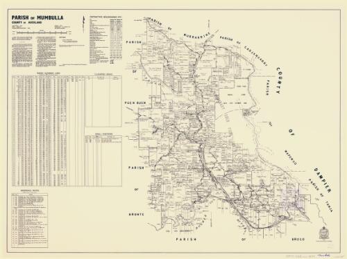 Parish of Mumbulla, County of Auckland [cartographic material] / [Department of Lands, Sydney, N.S.W.]