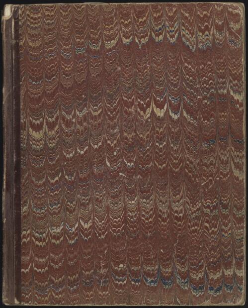 Journal of William Bethell, 1871 Nov. 7-1872 May 18 [manuscript]