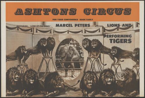 Ashtons Circus featuring Lord of the Lions Marcel Peters with his lions and performing tigers