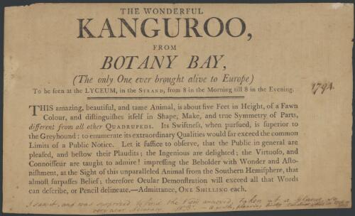 The wonderful kanguroo [i.e. kangaroo] from Botany Bay : (the only one ever brought alive to Europe) : to be seen at the Lyceum in the Strand