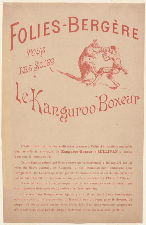 Folies-Bergère : tous les soirs : Le Kanguroo Boxeur : l'adminstration de Folies-Bergère toujours a l'affût d'attractions nouvelles s`est assurée le concours du Kanguroo-Boxeur "Sullivan" connu dans tout le monde entier