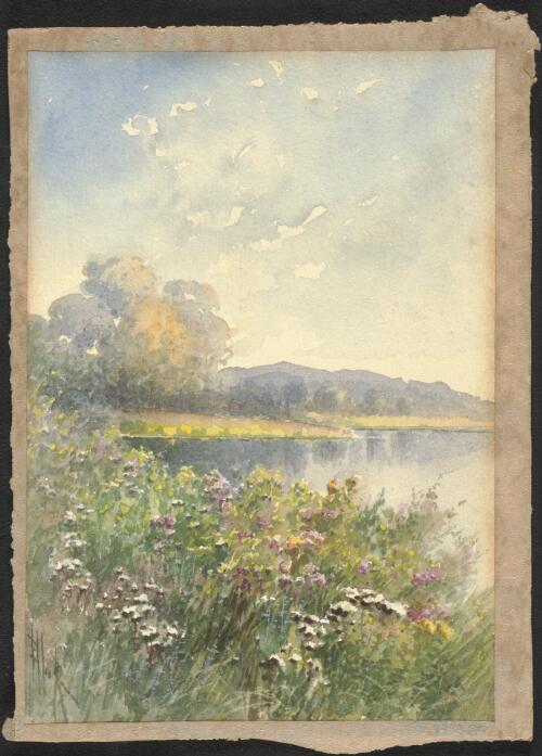Flowers on the banks of a lake, approximately 1910 / Ellis Rowan