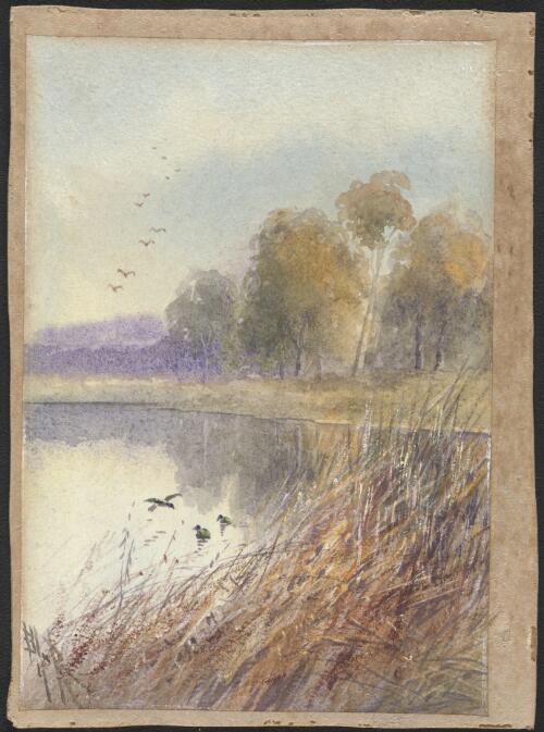Ducks on a lake, approximately 1910 / Ellis Rowan