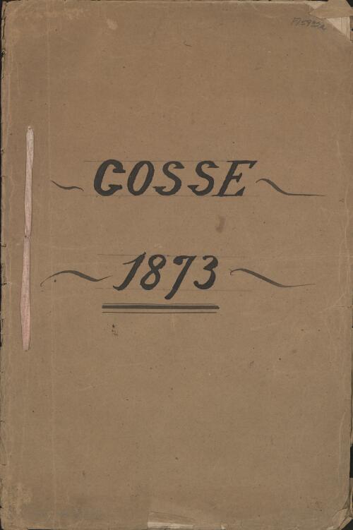 W.C. Gosse's explorations, 1873 : report and diary of Mr. W.C. Gosse's central and western exploring expedition, 1873