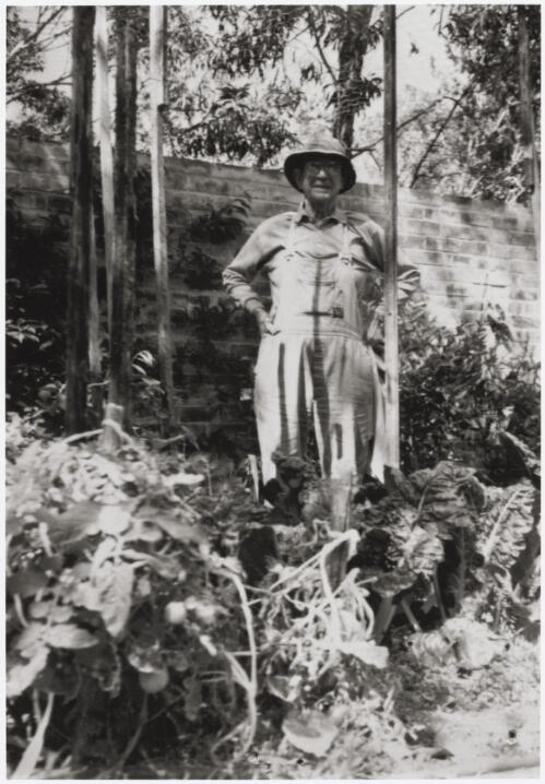 Geoffrey Sawer standing in his vegetable garden, approximately 1986