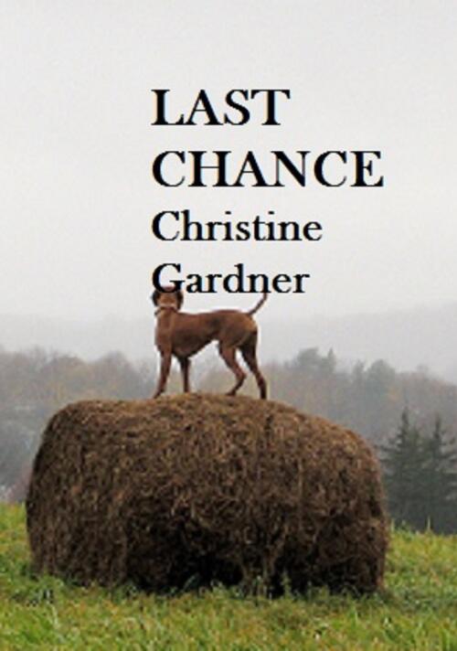 Last chance / Christine Gardner
