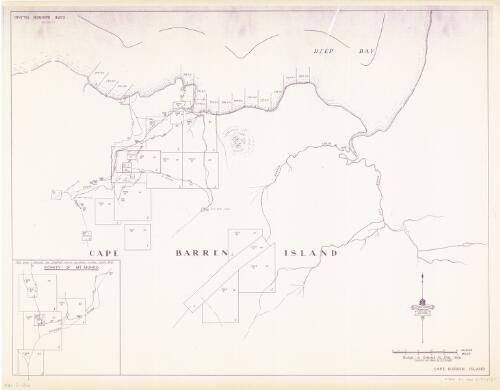 [Tasmania mineral chart series]. Cape Barren Island [cartographic material] / Department of Mines Tasmania