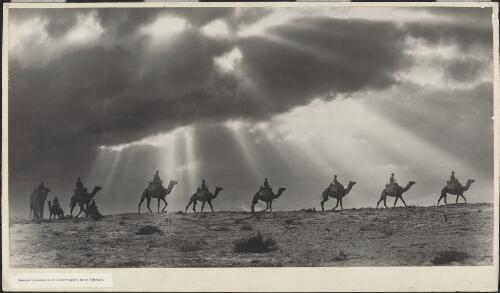 Senussi cameleers on desert patrol near Tobruk, Libya, approximately 1942 / Frank Hurley