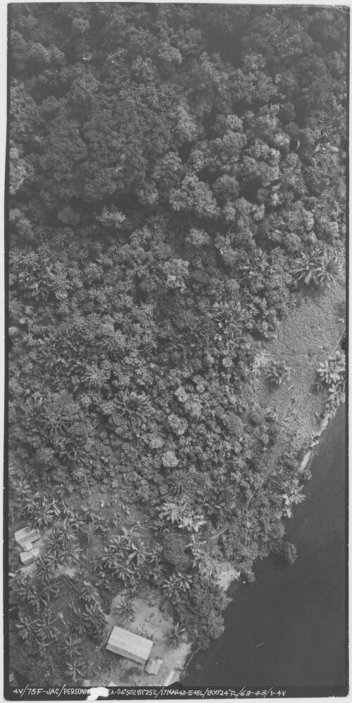 [Aerial photograph relating to the Japanese occupation of Kakolan Island, 1943] [cartographic material]