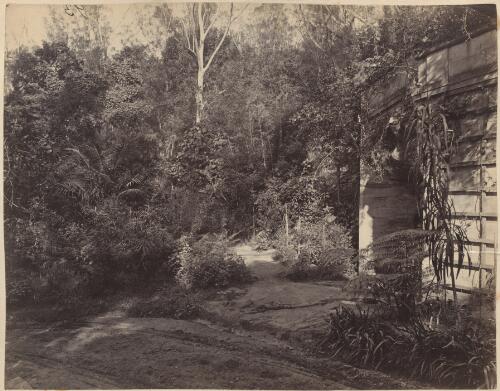Division wall and archway, Botanical Gardens, Sydney, approximately 1874