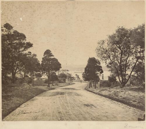 The Domain, Sydney, approximately 1874