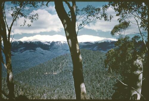 View of Snowy Mountains from Geehi, New South Wales, approximately 1955
