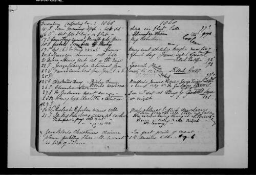 Diary of Anne Hale (as filmed by the AJCP) [microform] : [M851], 1865-1870