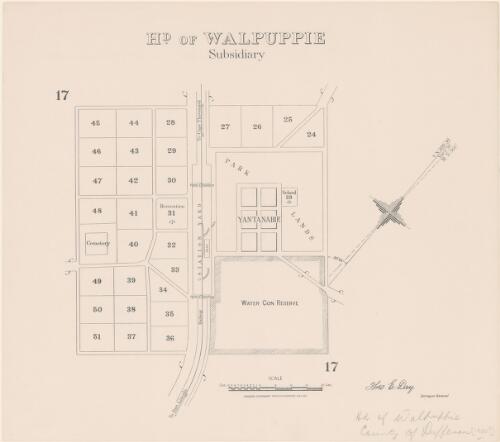 Hd. of Walpuppie subsidiary [cartographic material] : [town of Yantanabie, County Dufferin] / Theo E. Day, Surveyor General