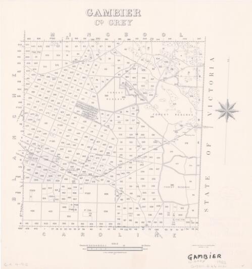 Gambier, Co. Grey [cartographic material] / compiled in the Office of the Surveyor General, Department of Lands