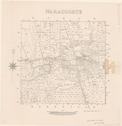 Naracoorte [cartographic material] : [County Robe]