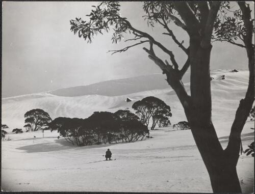 Skier in crouching position, Snowy Mountains Region, New South Wales, approximately 1940