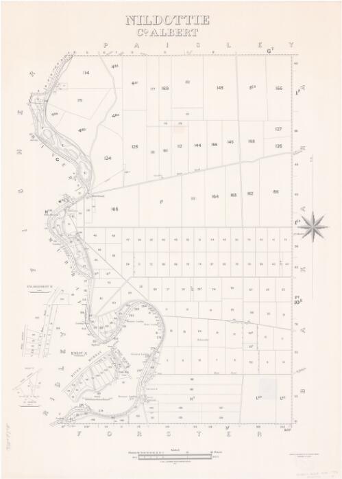 Nildottie, Co. Albert [cartographic material] / compiled in the Office of the Surveyor General, Department of Lands
