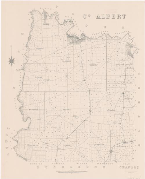 Co. Albert / compiled in the Office of the Surveyor-General, Department of Lands