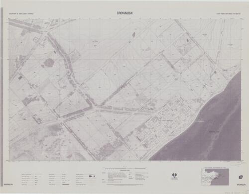 [South Australia] 1:2500 special map series : [Map type B4]. Brownlow [cartographic material] / Dept. of Lands, prepared under the direction of the Surveyor-General