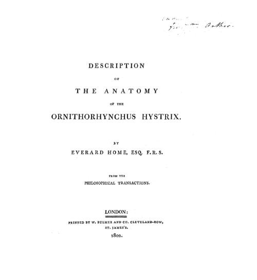 Description of the anatomy of the ornithorhynchus hystrix / by Everard Home