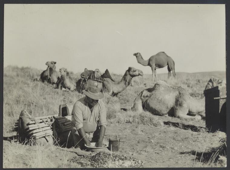 Digital Collections - Pictures - Poignant, Axel, 1906-1986. [Albert ...