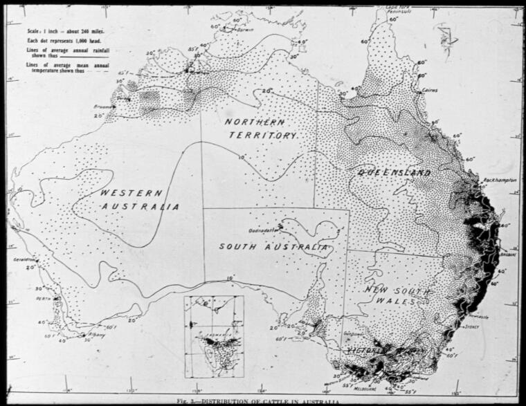 Digital Collections - Pictures - [Map showing] distribution of cattle ...