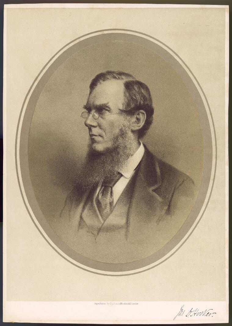 Sir Joseph Dalton Hooker – A Member Of The X Club | Cogpunk Steamscribe