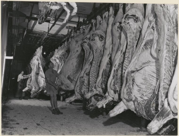 Digital Collections - Pictures - Brindle, Bill. Carcases at Tancred's ...