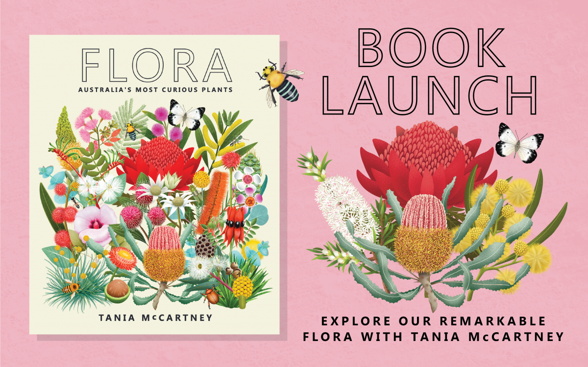 On a pink background is the image of the front cover of the book 'Flora: Australia's Most Curious Plants' and text that reads 'Book launch. Explore our remarkable flora with Tania McCartney.'