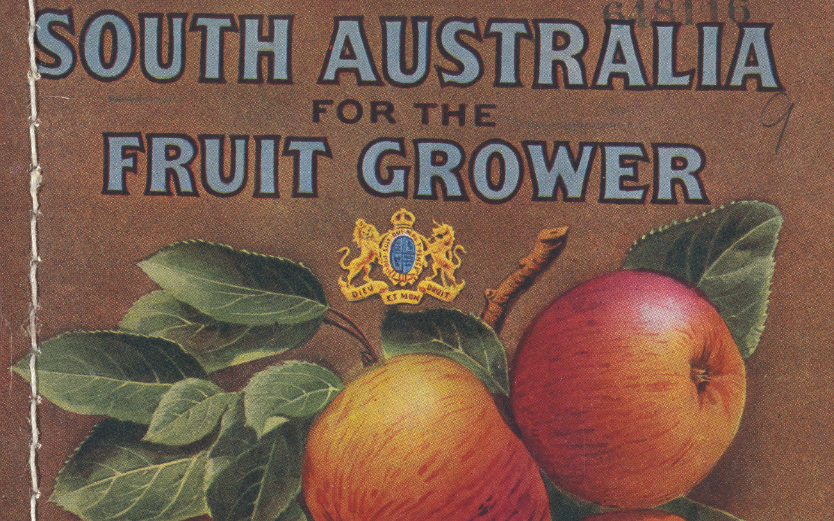 Blue and black text reading 'South Australia for the fruit grower' and a detailed illustration of apples on a leafy branch