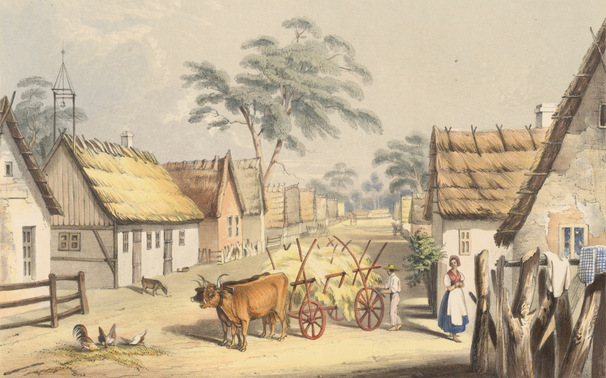Street lined with small buildings, with a cows pulling a wagon of hay stopped at the end, with a man and woman standing nearby. Chickens and birds are eating seeds from the ground and there is a goat further down the street.