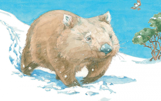 Illustration of a wombat walking through snow on a bright, cloudless day with a tree and bird flying in the background